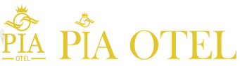 Varto Pia Otel